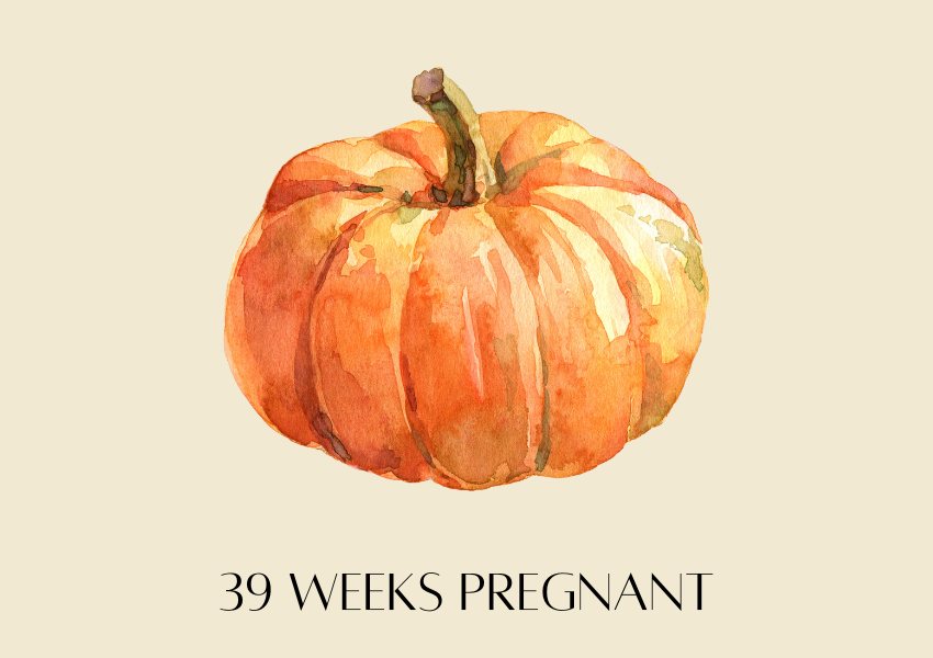 baby fruit size pregnancy week 39 pumpkin