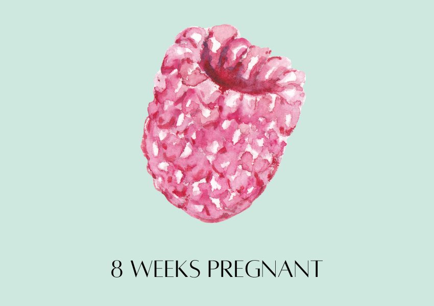 baby fruit size pregnancy week 8 raspberry