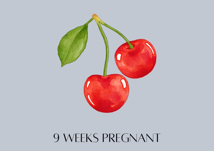baby fruit size pregnancy week 9 cherry