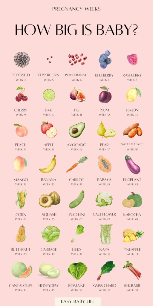 How Big Is My Baby Fun Pregnancy Fruit Size Chart By Week MomStopChoice